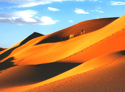 寧夏天馬國際旅行社提供自駕車沙坡頭一日游導(dǎo)游服務(wù)