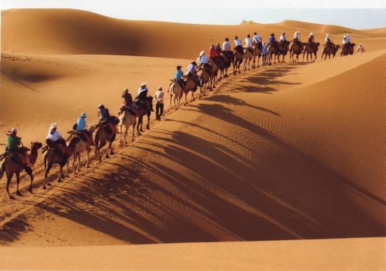 自駕車去沙湖/影視城/賀蘭山巖畫一日游導(dǎo)游服務(wù)