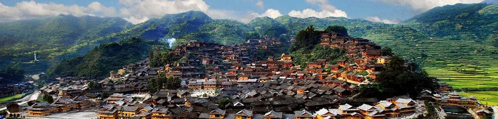 最愛的秋天來啦